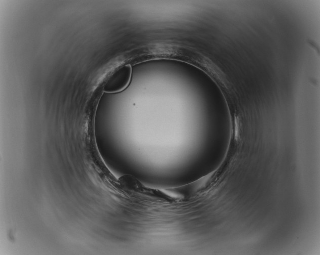 X0000099540723200805161427