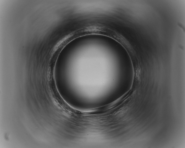 X0000099540724200805161427