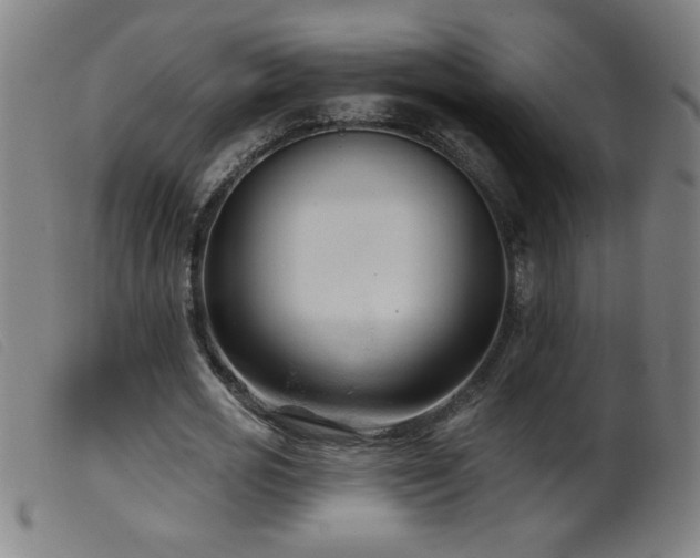 X0000099540725200805161427
