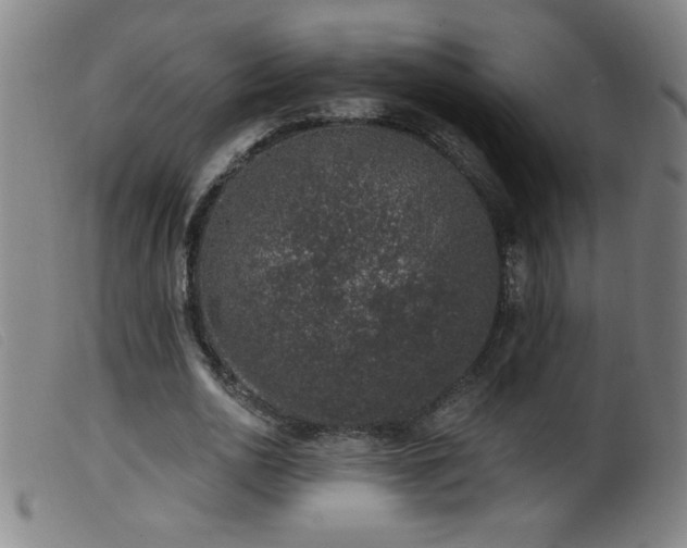 X0000099540726200805161427