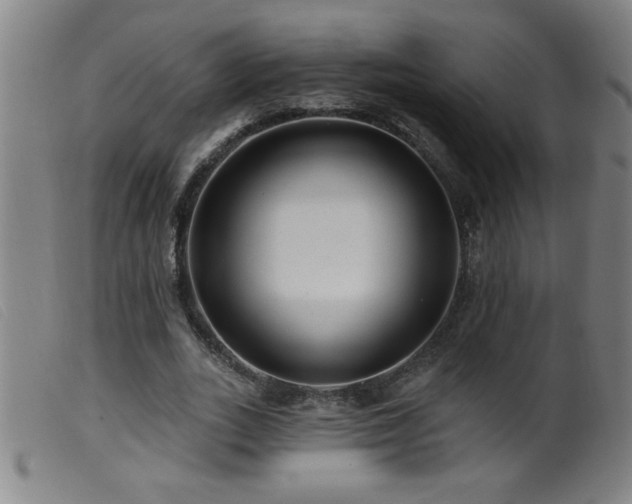 X0000099540727200805161427