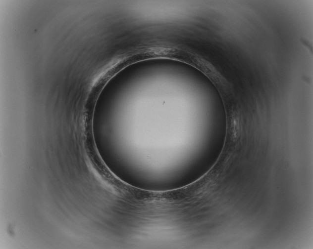 X0000099540730200805161427