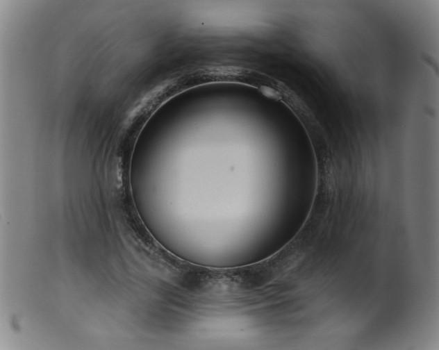 X0000099540731200805161427