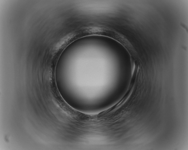 X0000099540732200805161427