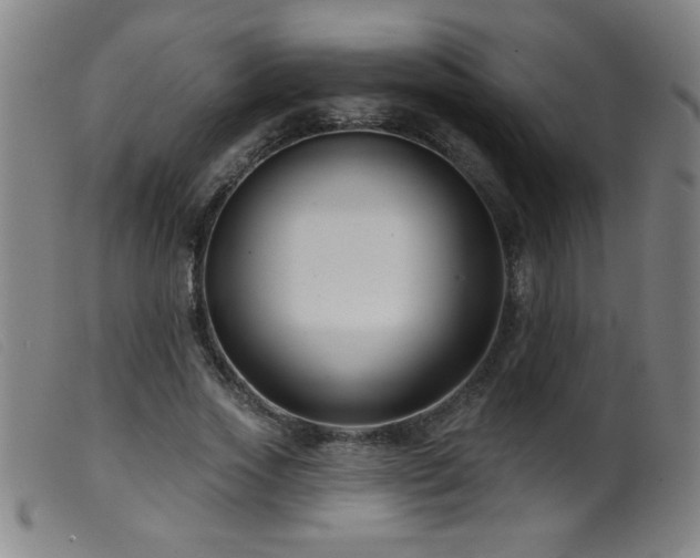 X0000099540733200805161427