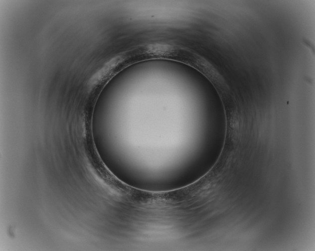 X0000099540734200805161427