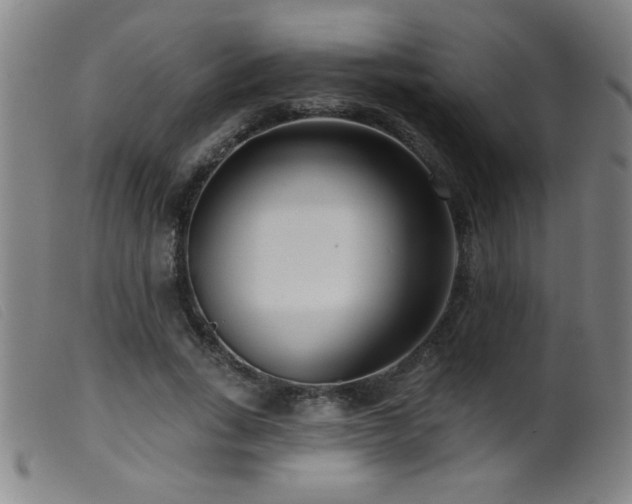 X0000099540735200805161427