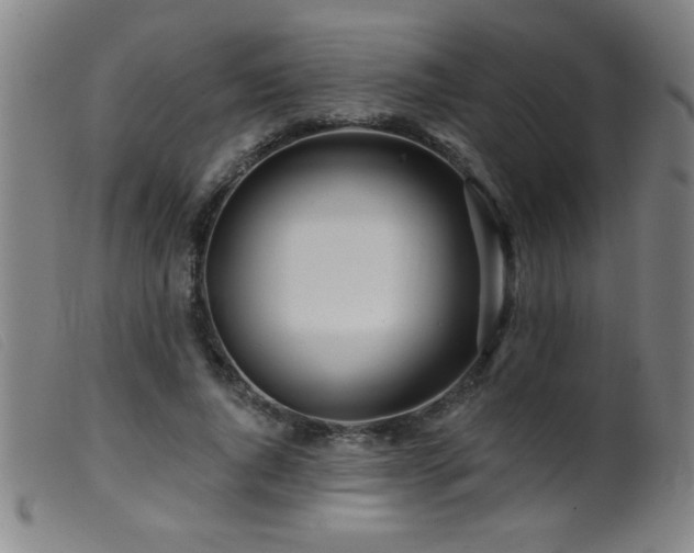 X0000099540736200805161427