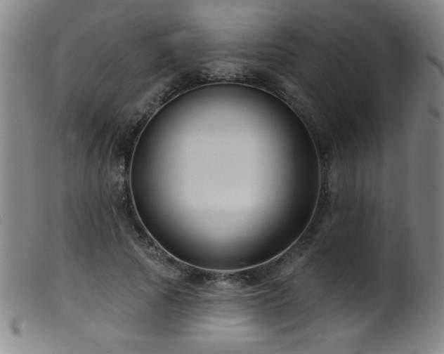 X0000099540737200805161427