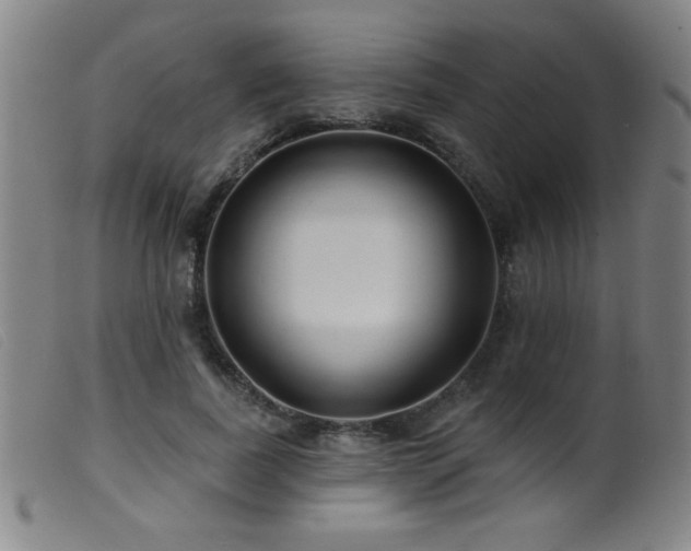 X0000099540739200805161427