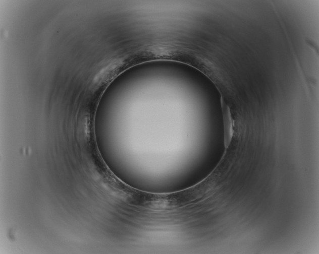 X0000099540740200805161427