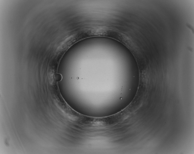 X0000099540741200805161427
