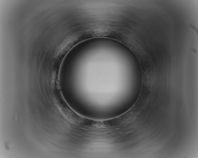 X0000099540742200805161427