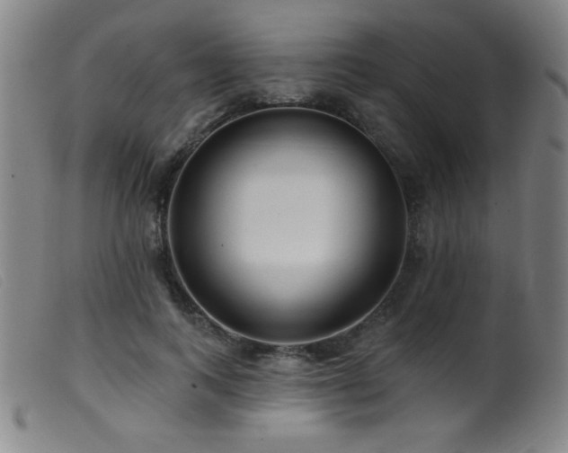 X0000099540743200805161427