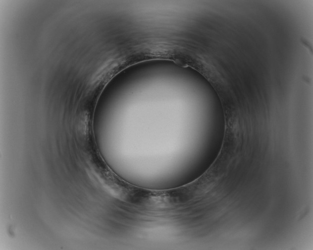 X0000099540744200805161427