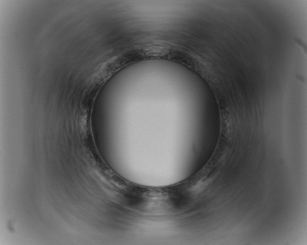 X0000099540745200805161427