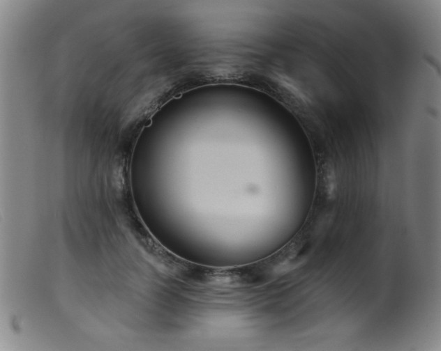 X0000099540746200805161427