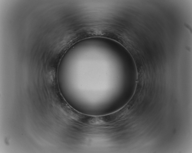 X0000099540747200805161427