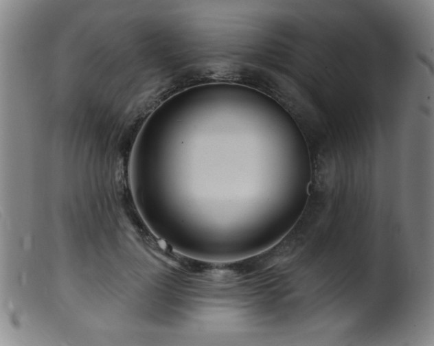 X0000099540748200805161427