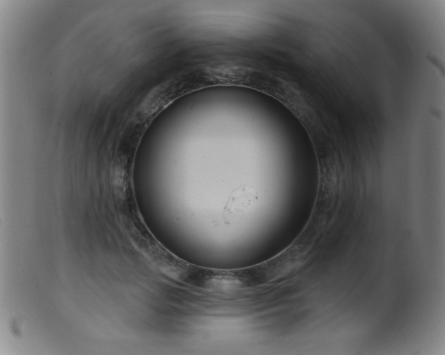 X0000099540749200805161427