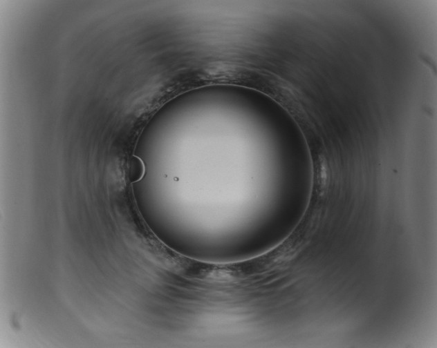 X0000099540751200805161427