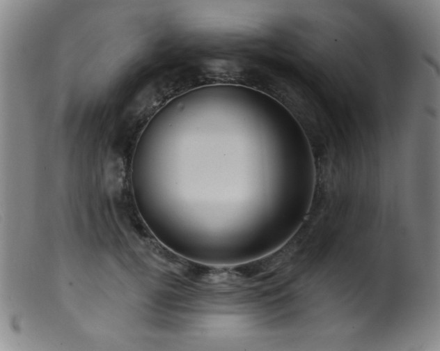 X0000099540752200805161427
