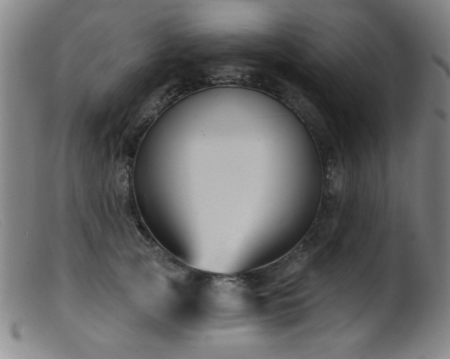 X0000099540753200805161427