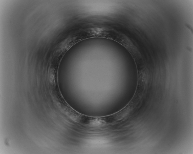 X0000099540754200805161427