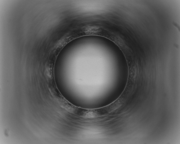 X0000099540755200805161427