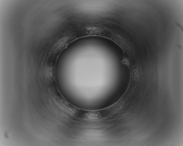 X0000099540756200805161427