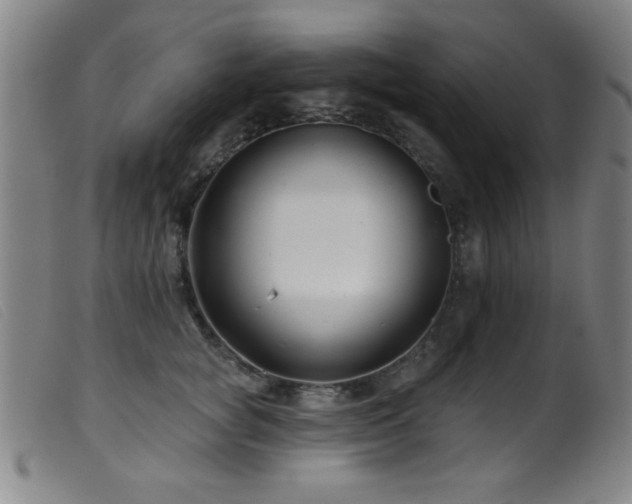 X0000099540757200805161428