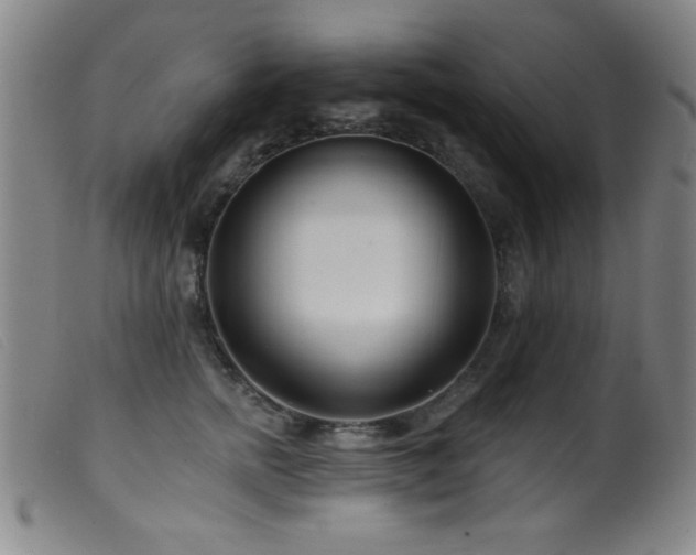 X0000099540758200805161428