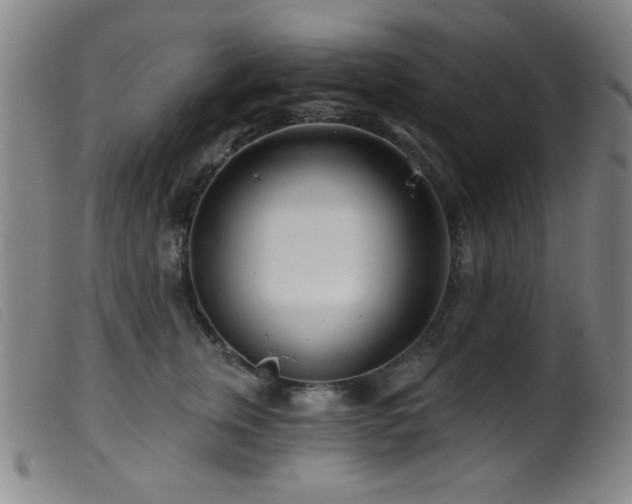 X0000099540759200805161428