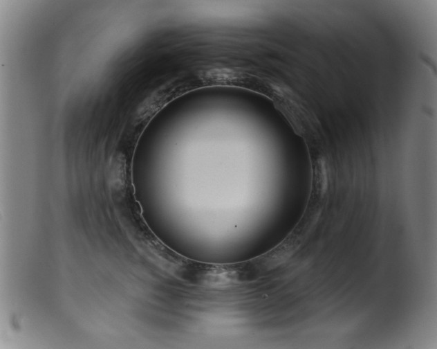 X0000099540760200805161428