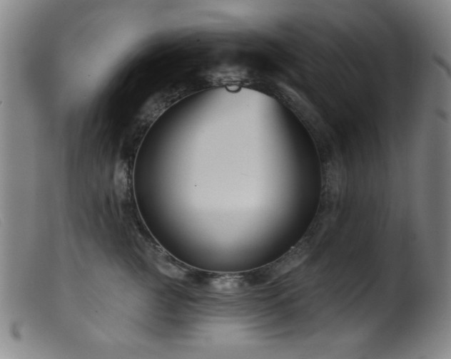X0000099540761200805161428