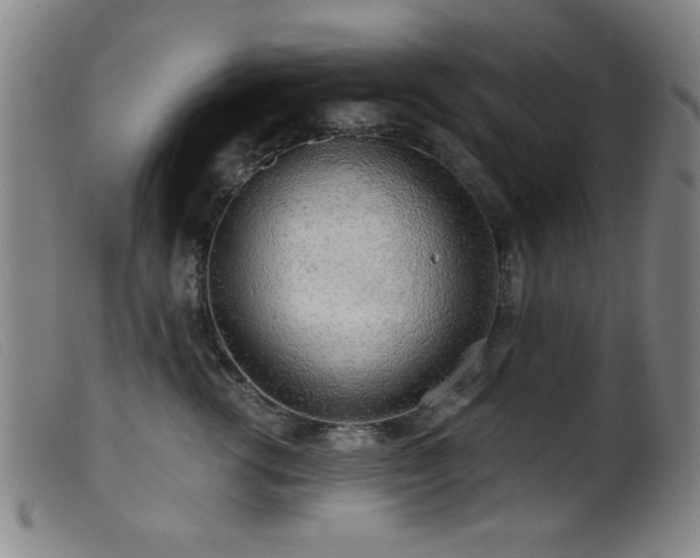 X0000099540762200805161428