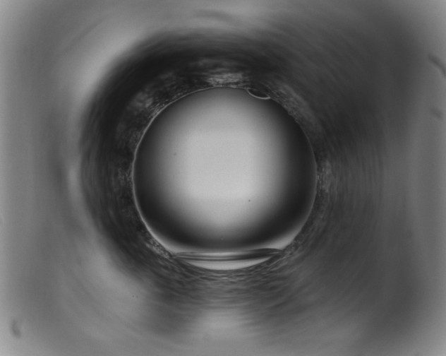 X0000099540763200805161428