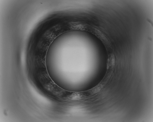 X0000099540764200805161428