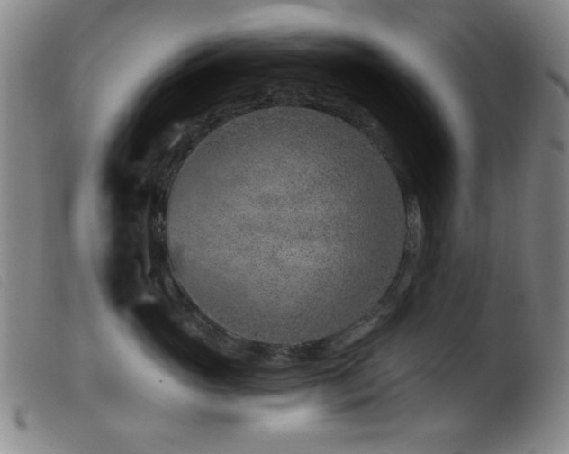 X0000099540765200805161428