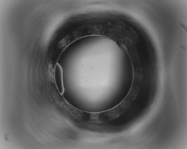 X0000099540766200805161428