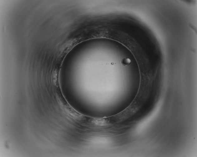 X0000099540767200805161428