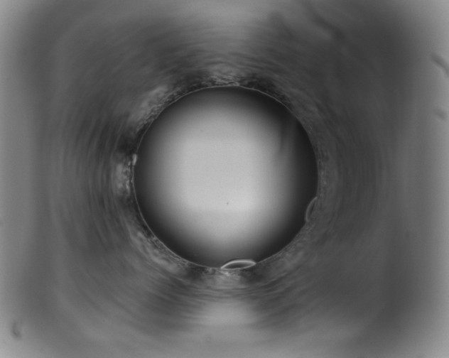 X0000099540768200805161428