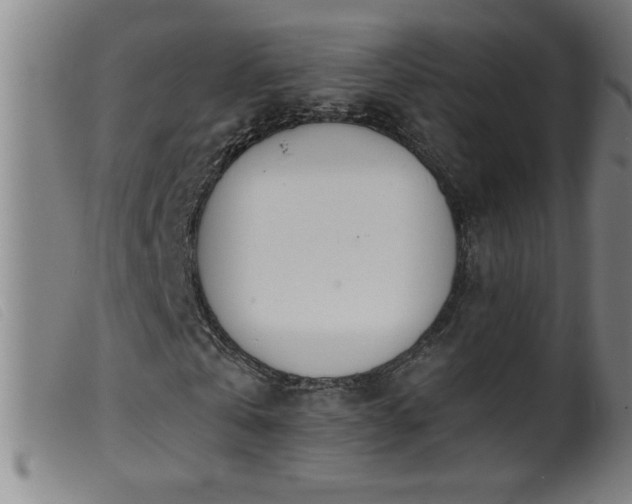 X0000099540769200805161427