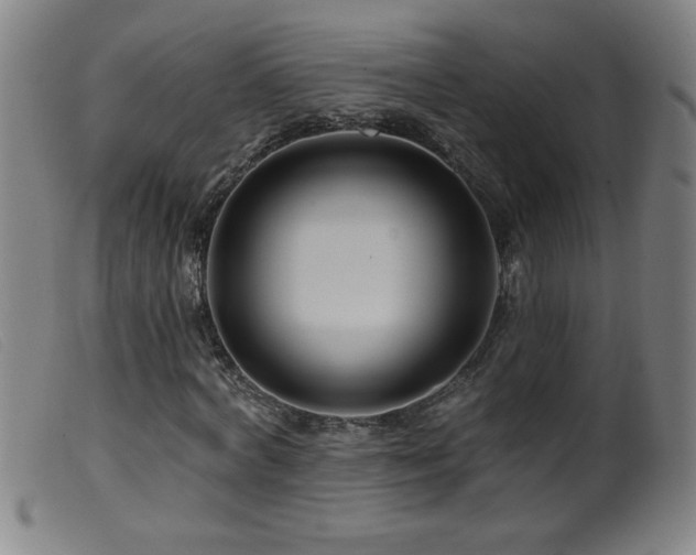 X0000099540772200805161427