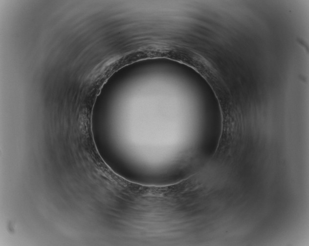 X0000099540773200805161427