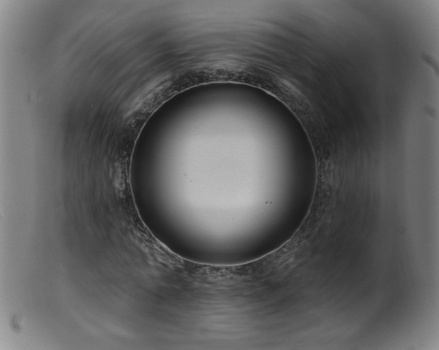 X0000099540774200805161427