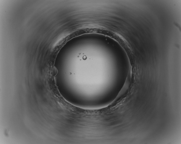 X0000099540775200805161427
