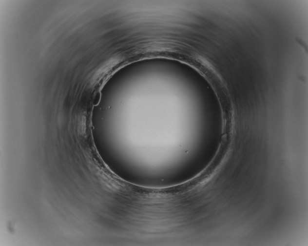 X0000099540777200805161427