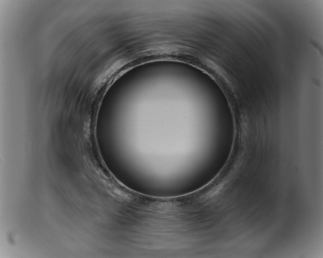 X0000099540778200805161427