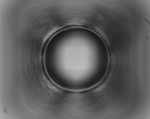 X0000099540779200805161427